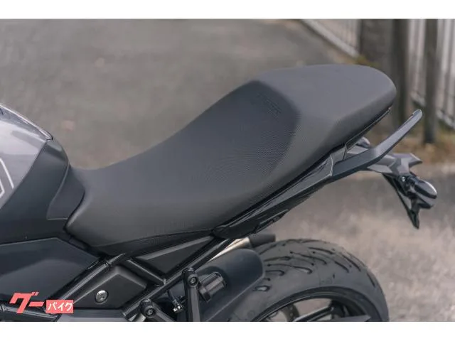 TRIUMPH 800 / 2025 — миниатюра 3