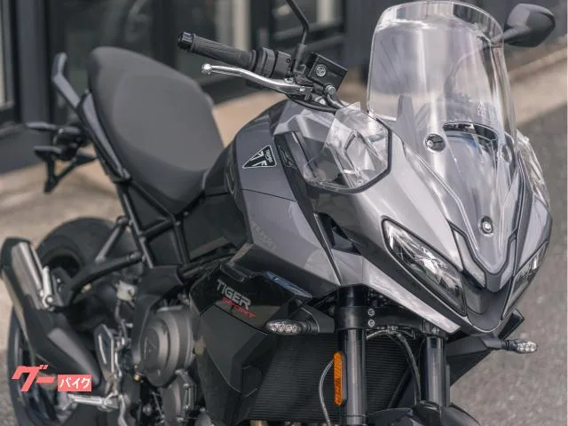 TRIUMPH 800 / 2025 — миниатюра 5