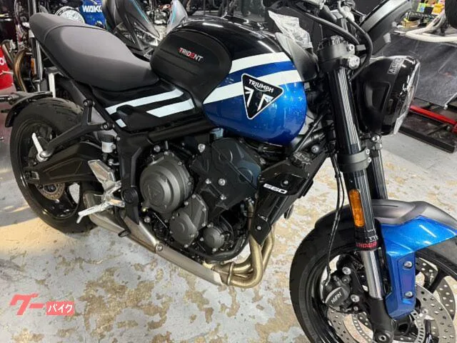 TRIUMPH 660 / 2025 — миниатюра 5