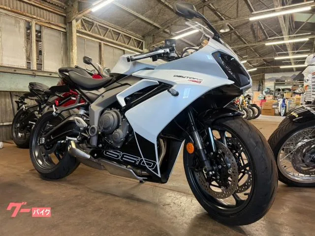TRIUMPH 660 2025 — миниатюра 2