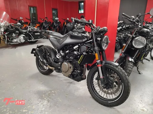 HUSQVARNA 401 USB 2022 — миниатюра 2