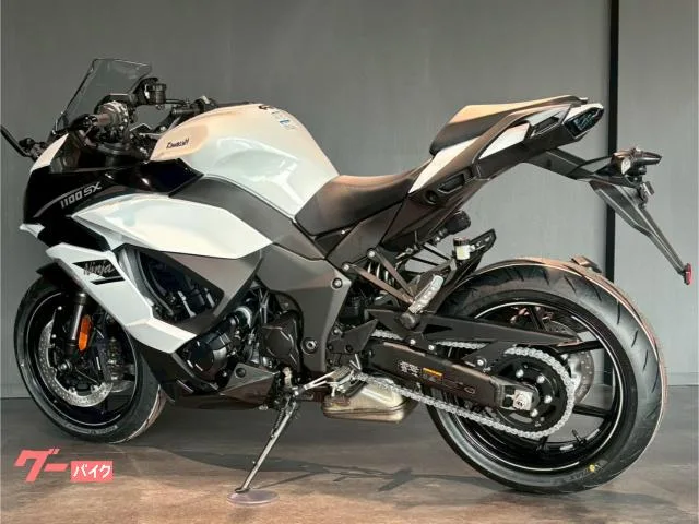 Kawasaki Ninja 1100 SX MY2025 2025 — миниатюра 3