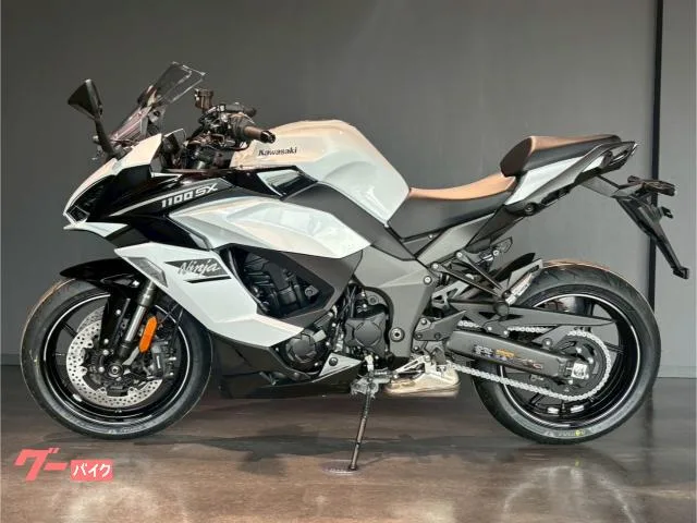 Kawasaki Ninja 1100 SX MY2025 2025 — миниатюра 4