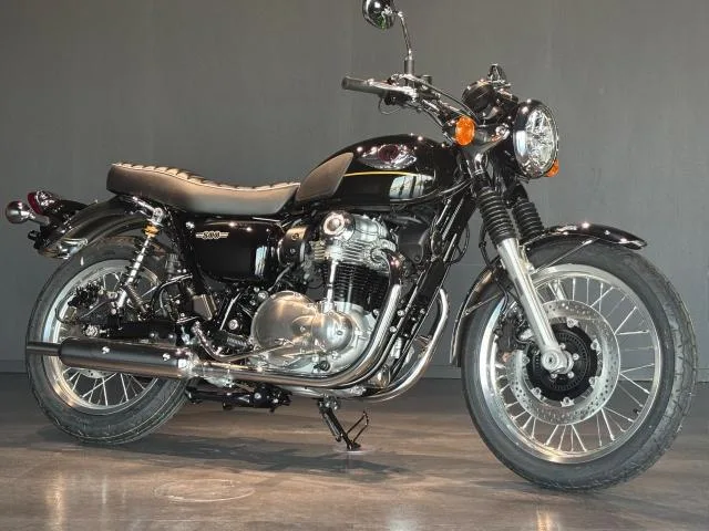 Kawasaki W800 MY2025 ETC2.0 2025 — фото 1, купить с доставкой в Москву