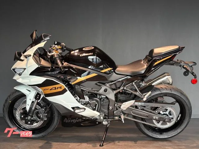 Kawasaki Ninja ZX-4R SE MY2026 2026 — миниатюра 3