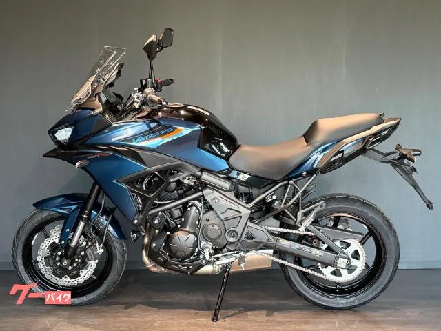 Kawasaki Versys 650 MY2026 2026 — миниатюра 3