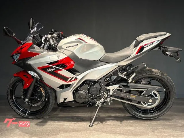 Kawasaki Ninja 250 MY2026 2026 — миниатюра 3