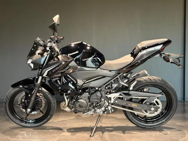 Kawasaki Z250 MY2026 2026 — миниатюра 3