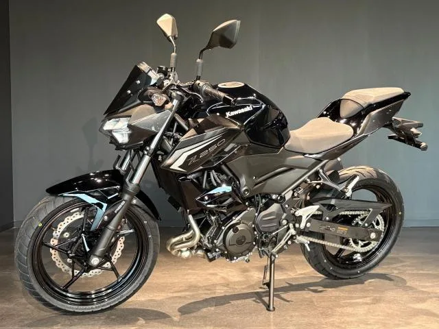 Kawasaki Z250 MY2026 2026 — миниатюра 4