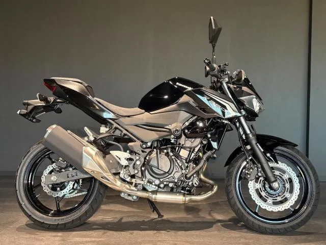Kawasaki Z250 MY2026 2026 — миниатюра 5