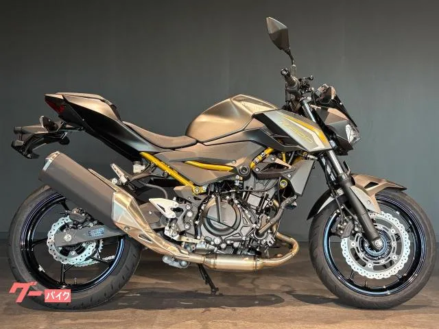 Kawasaki Z400 MY2026 2026 — миниатюра 5