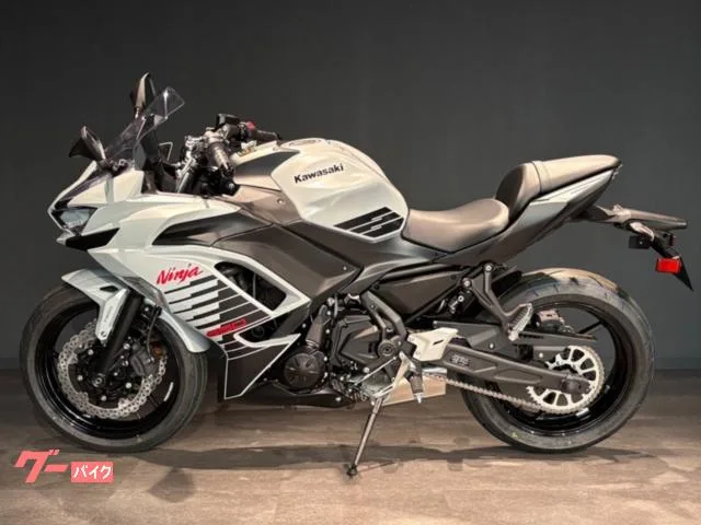 Kawasaki Ninja 650 MY2026 2026 — миниатюра 3