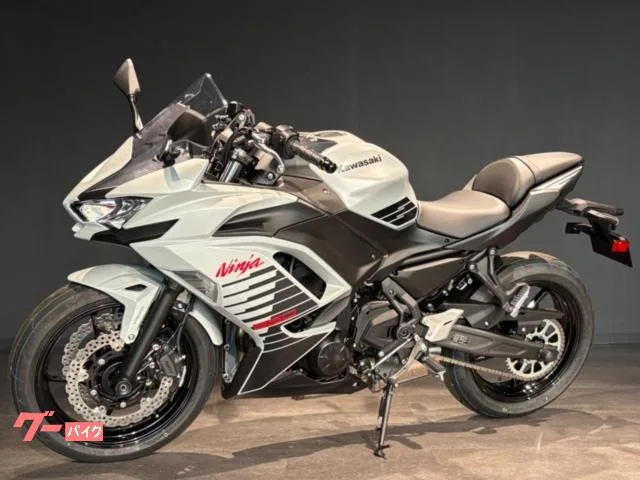 Kawasaki Ninja 650 MY2026 2026 — миниатюра 4
