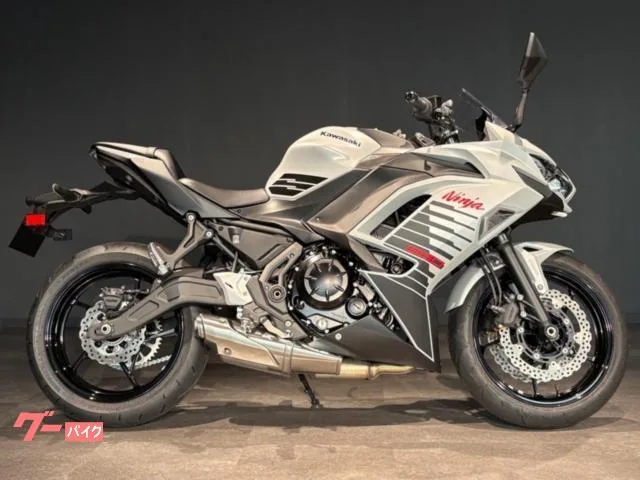 Kawasaki Ninja 650 MY2026 2026 — миниатюра 5