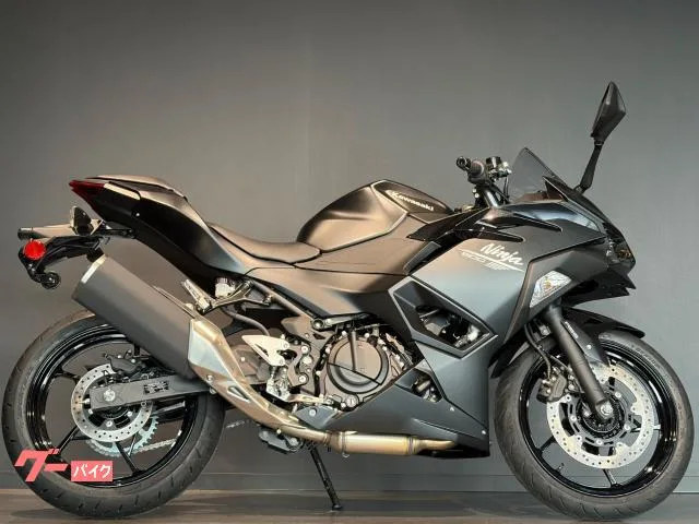 Kawasaki Ninja 500 MY2026 2026 — миниатюра 3