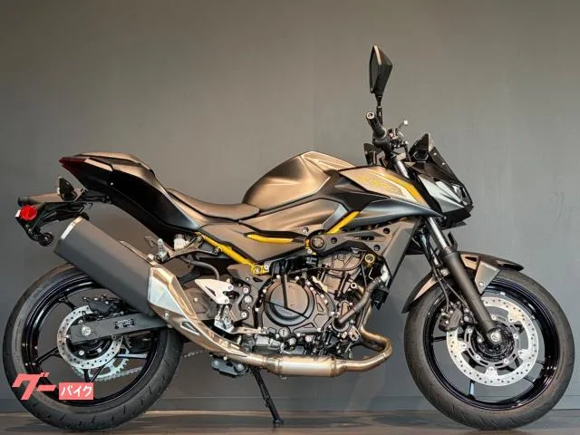 Kawasaki Z500 MY2026 2026 — миниатюра 3