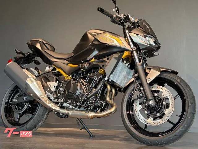 Kawasaki Z500 MY2026 2026 — фото 1, купить с доставкой в Москву