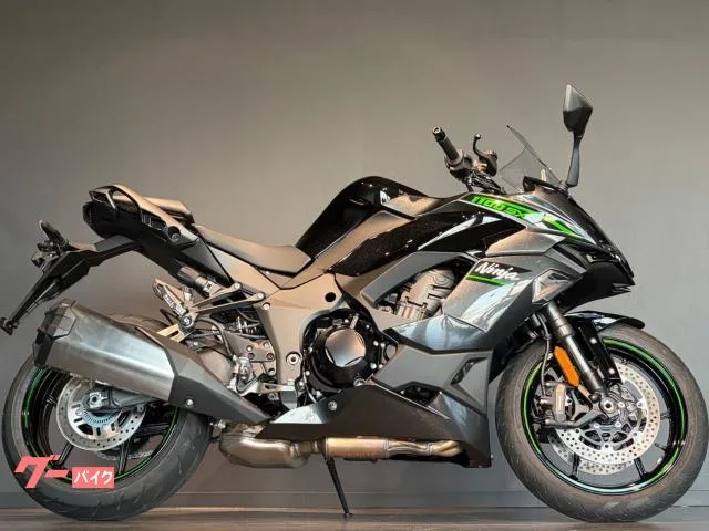 Kawasaki Ninja 1100 SX ETC 2025 — миниатюра 3