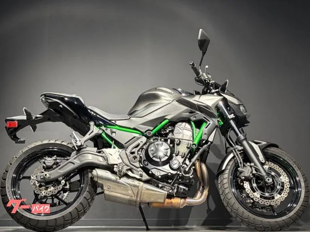 Kawasaki Z650 MY2023 ETC 2023 — миниатюра 3