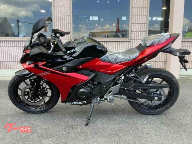 Suzuki GSX250R DN12B 2 ABS / 2024 — миниатюра 5