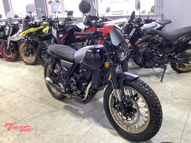 MUTT DRK-01 250 ETC ABS BLACKGOLD 2024 — миниатюра 3