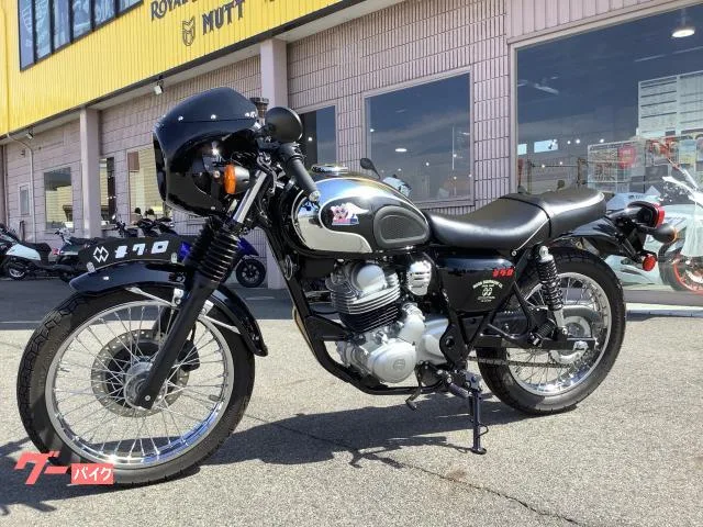 Kawasaki S1 2025 — миниатюра 2