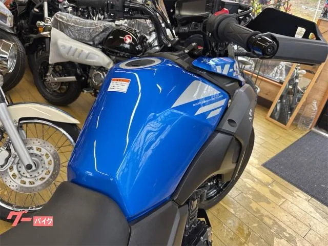 Suzuki V- 250 ETC 2022 — миниатюра 3