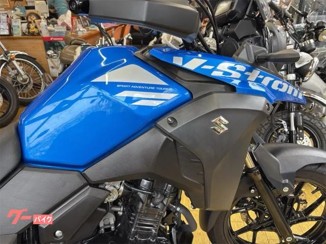 Suzuki V- 250 ETC 2022 — миниатюра 5