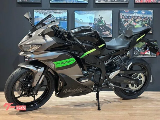 Kawasaki Ninja ZX-25R SE MY2026 2026 — миниатюра 5