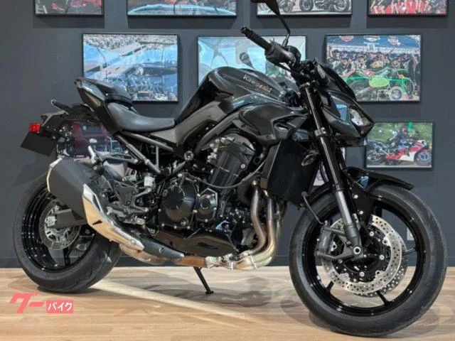 Kawasaki Z900 MY2026 ETC2.0 USB 2026 — фото 1, купить с доставкой в Москву