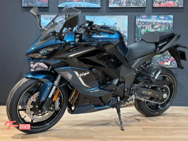 Kawasaki Ninja 1100 SX SE MY2026 ETC2.0 2026 — миниатюра 5
