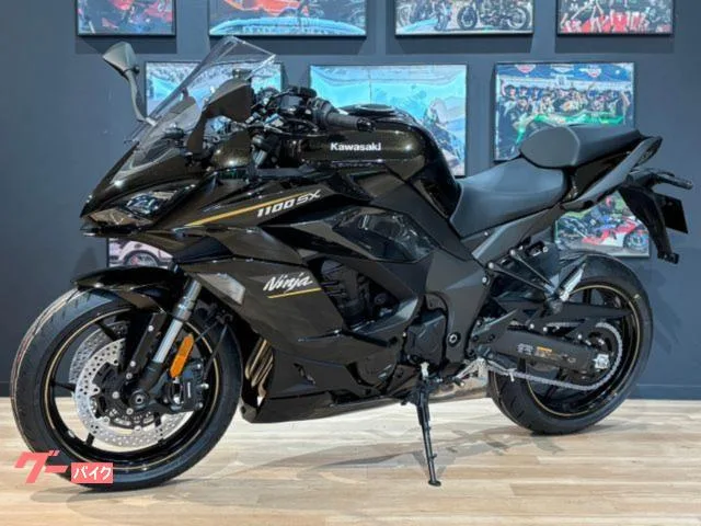 Kawasaki Ninja 1100 SX MY2026 ETC2.0 USB 2026 — миниатюра 5