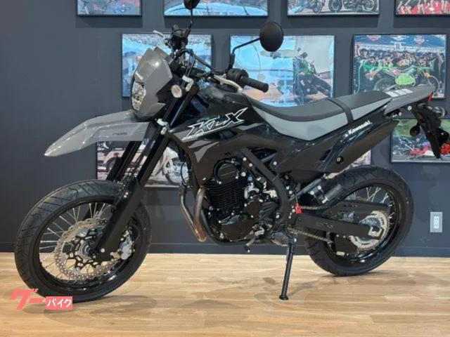 Kawasaki KLX230SM MY2026 2026 — миниатюра 5