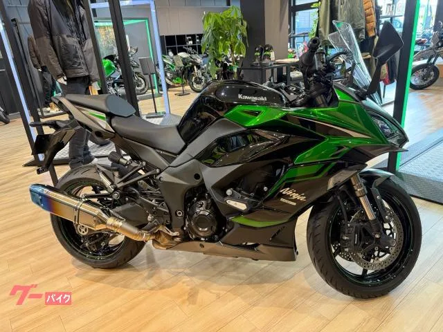 Kawasaki Ninja 1000 SX 2024 — миниатюра 2