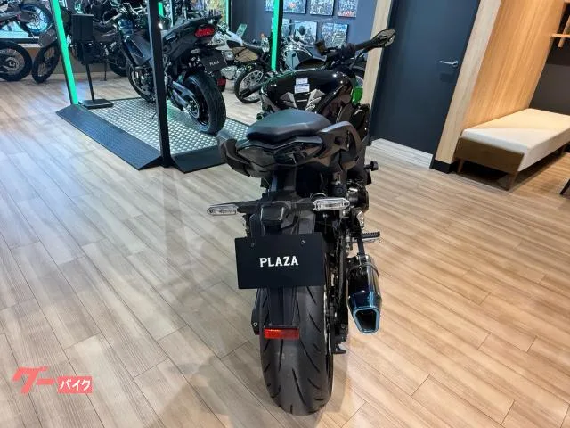Kawasaki Ninja 1000 SX 2024 — миниатюра 5