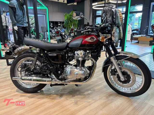 Kawasaki W800 2024 — миниатюра 2