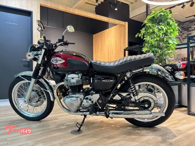 Kawasaki W800 2024 — миниатюра 5