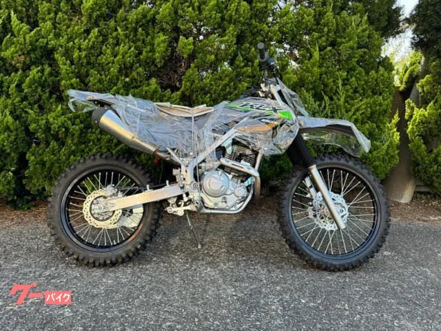 Kawasaki KLX230R S 2024 — фото 1, купить с доставкой в Москву