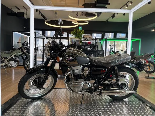 Kawasaki K3 2025 — фото 1, купить с доставкой в Москву