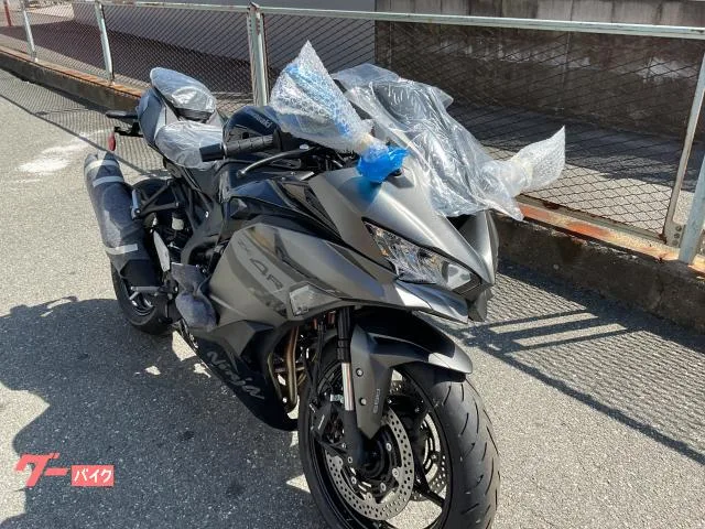 Kawasaki Ninja ZX-4R SE 3 2026 — миниатюра 4
