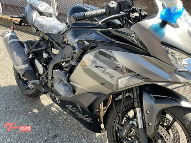 Kawasaki Ninja ZX-4R SE 3 2026 — миниатюра 5