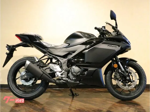 Yamaha YZF-R25 2025 2025 — миниатюра 2