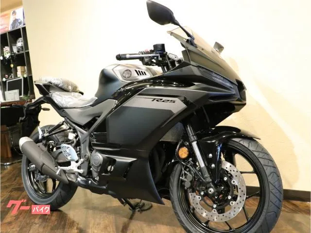 Yamaha YZF-R25 2025 2025 — фото 1, купить с доставкой в Москву