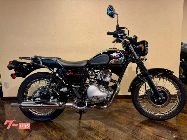 Kawasaki S1 2025 — миниатюра 2