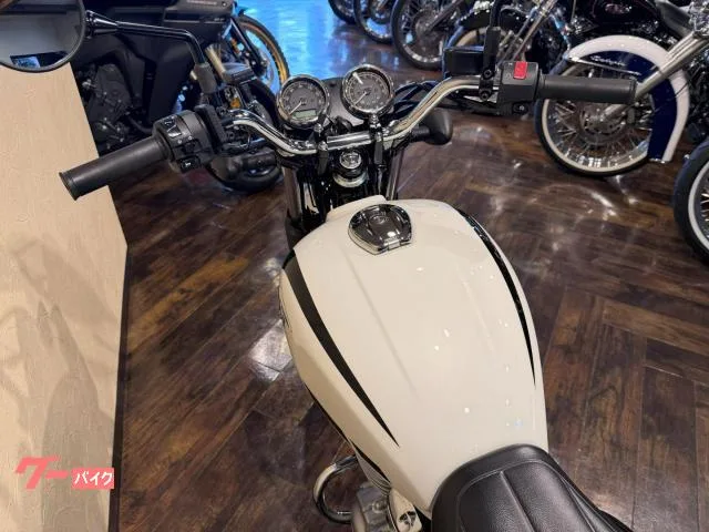 Kawasaki W230 ETC 2025 — миниатюра 4
