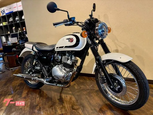 Kawasaki W230 ETC 2025 — фото 1, купить с доставкой в Москву