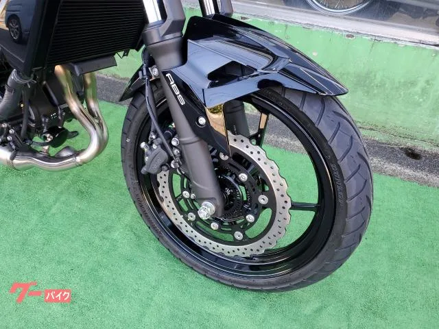 Kawasaki Z250 ABS LED 2026 — миниатюра 2