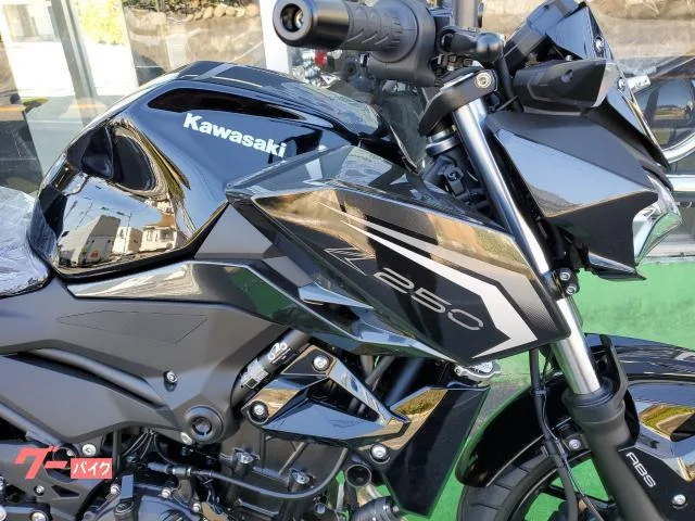 Kawasaki Z250 ABS LED 2026 — миниатюра 4