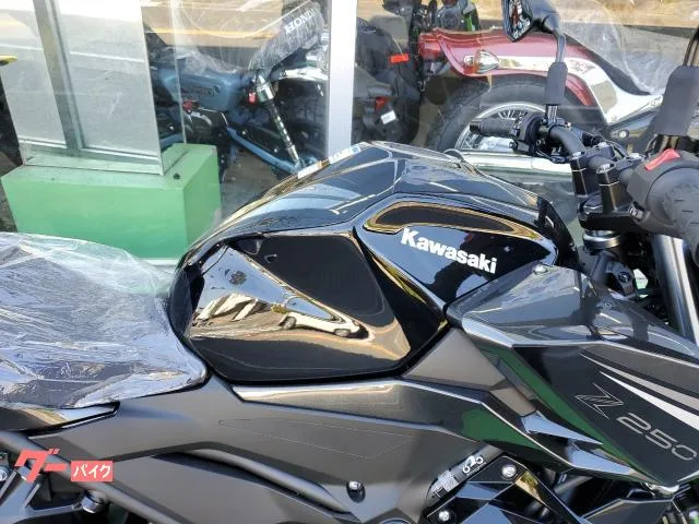 Kawasaki Z250 ABS LED 2026 — миниатюра 5