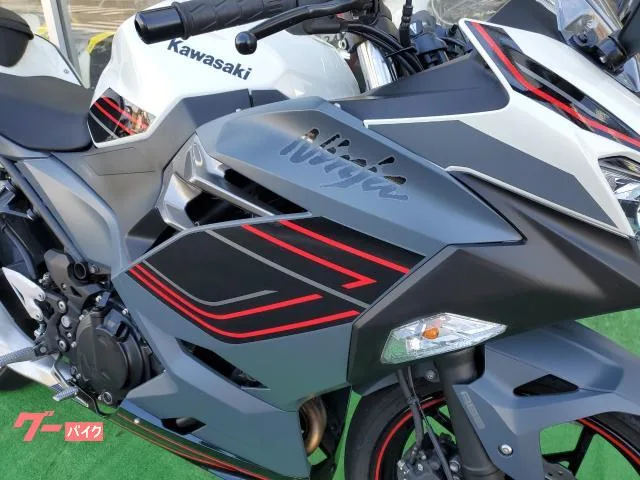 Kawasaki Ninja 400 ABS 42 2024 — миниатюра 4